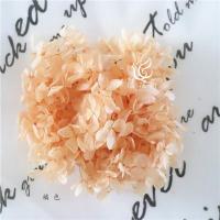 绣球永生花diy材料包干花保鲜花饰品头饰花滴胶玻璃罩