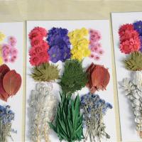 大花材包 押花材料包 压花包 滴胶干花 天然真花 干燥花标本
