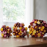 北欧艺术干花七彩菊手工干花非洲菊干花包小雏菊干花花束风干散装
