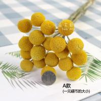 金球天然干花 家居装饰花材 2019新货基地直销包