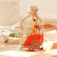 蔷薇 保鲜油浮游花永生花diy材料包教师节干花送老师2019