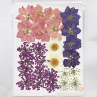 手工diy干花手机壳材料包脸部装饰艺术贴脸滴胶飞燕蕾丝押花书签