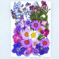 新紫色狂想干花包花瓣妆 压花押花儿童手工植物标本滴胶手机壳