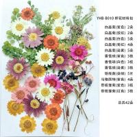 DIY押花材料包干花包手机壳diy压花装饰画材料组合包真干花