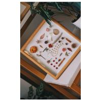 花艺植物标本立体相框干花diy材料包排列手工制作黏土相框