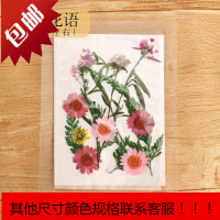 干花DIY押花贴脸写真 押花书签压花包 压花画材料真花滴胶干树叶