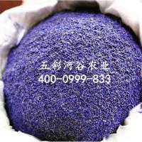 新疆薰衣太空蓝干花粒散装薰衣香包枕头原料驱虫除味