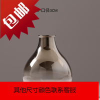 现代简约小玻璃花瓶摆件 家居客厅服装店装饰品 创意干花花插花器