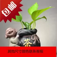 创意绿萝水培花瓶陶瓷水养植物器皿花盆容器家用室内插花花器摆件