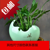 现代陶瓷绿萝水培植物花瓶摆件小清新创意简约客厅宜家餐桌装饰品