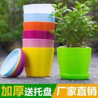 【大号5个】彩色塑料大号花盆室内阳台盆栽树脂塑料花盆种菜盆玫瑰花月季蔷薇多肉绿萝绿植花卉仿真花仿陶瓷多肉创意圆形小花盆【