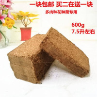 椰砖一块 大号45cm 种菜神器阳台室内蔬菜种植花盆长方形种菜盆塑料长条盆蔬菜阳台种植箱加厚塑料特大花盆托盘种花盆种菜盆