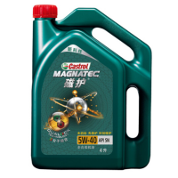 上海 29家直营门店 通用 嘉实多磁护全合成机油5W40小保养+内饰消毒 (包施工)