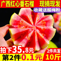（厂家直营店）品牌现摘红心番石榴新鲜当季水果红巴乐潘石榴芭乐年货送女友送朋友（正品）