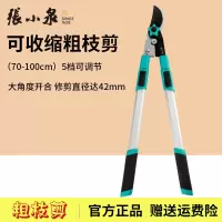 张小泉园艺剪刀整枝剪粗枝剪果园剪园林高枝剪果树剪强力修剪旁枝大剪子