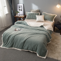 秋冬加厚多功能牛奶珊瑚绒毛毯无印羊羔绒毯子休闲空调盖毯单被套