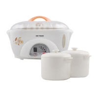 天际电炖盅DDZ-16A(珠海远茂)