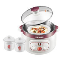 天际(TONZE)电炖锅 DGD12-12CG