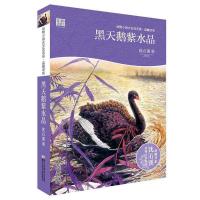 动物小说大王沈石溪·品藏书系：黑天鹅紫水晶(升级版) 沈石溪 浙江少年儿童出版社 9787534296017