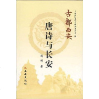 唐诗与长安 阎琦 西安出版社 9787805949611