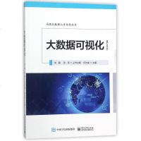 大数据可视化/高级大数据人才培养丛书 总主编 /张燕 电子工业 9787121335495