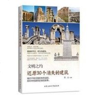 文明之约 还原0个消失的建筑 苏山 北京工业大学出版社 9787563937660
