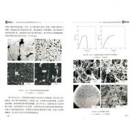 真空制坯复合轧制技术与工艺 轧制技术及连轧自动化国家重点实验室（东北大学）　著 冶金工业出版 97875024675