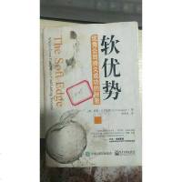软优势：公司持久成功的秘密 9787121272578