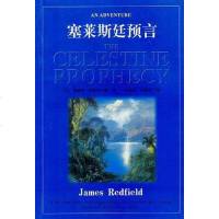 塞莱斯廷预言 詹姆斯・莱德菲尔德 /唐建清 /张健民 昆仑出版社 9787800402777