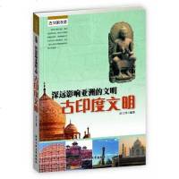 深远影响亚洲的文明 盛文林 北京工业大学出版社 9787563937400