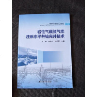 岩性气藏储气库注采水平井钻完井技术 9787518315277