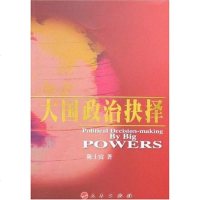 大国政治抉择 陈士富 9787010068091