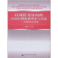 以风为导向的内部控制体系理论与实践 凌文 9787509532003