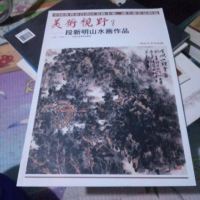 美术视野：段新明山水画作品 9787514014631