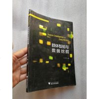 群体智能与数据挖掘 9787308187916