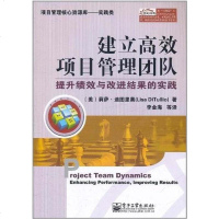 建立高效项目管理团队 莉萨·迪图里奥 9787121146626