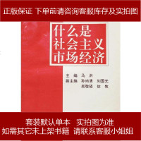 什么是社会主义市场经济 马洪 中国发展出版社 9787800871597