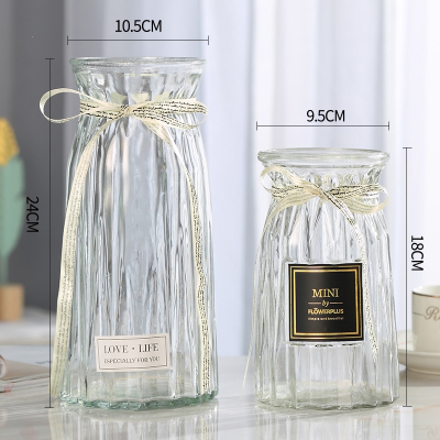金铂喜二件套欧式玻璃花瓶透明彩色水培植物花瓶客厅装饰摆件插花瓶 24折纸贴标折纸透明