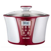 天际隔水炖DGD32-32EG