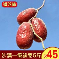 正宗新疆特产红枣和田原粒吊干大枣子沙漠骏枣级整