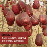 实惠装新疆大红枣新疆大红枣装原枣特产