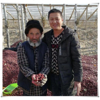 特惠装红枣新疆红枣灰枣若羌灰枣吊干枣免洗粥枣孕妇食 一级5斤5袋(5斤)