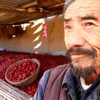 山西红枣临县黄河滩枣农家特级大免洗新货干散装粽子泡茶水