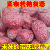 新货 新疆若羌灰枣星团红枣原粒枣未清洗原生态吊干枣