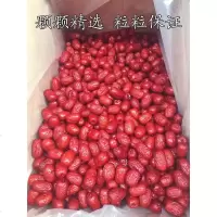 新枣特级沧州红枣干金丝小枣子新货农家自产整 1500克(3斤装)