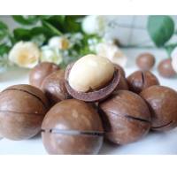 白胡子新疆特产新货夏威夷果食休闲坚果干果奶油味送开口器