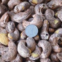 腰果炭烧烘焙椒盐干货坚果干果特级大食小吃特产