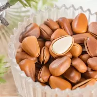 手剥新货薄壳东北开口松子连红松子干果坚果食特产