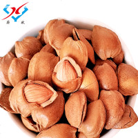 蔚献-开口杏仁坚果干果大杏仁蔚县开口杏核食手剥 原味3斤