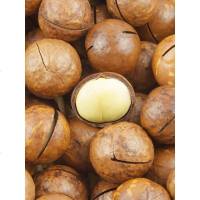 诺诺多滋 大夏威夷果奶香味整坚果原味夏果散装食年货 奶油味[中颗]5斤批发划算